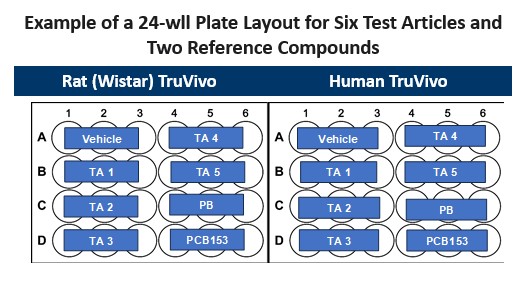 Example Plate for TDC Indirect.jpg
