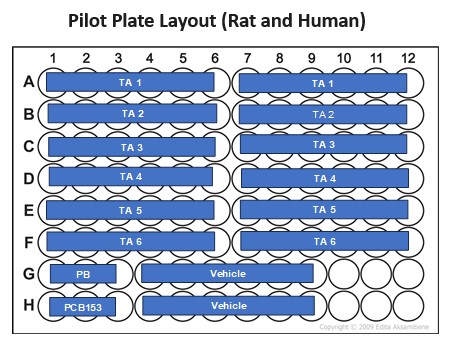 Pilot Plate for TDC Indirect.jpg
