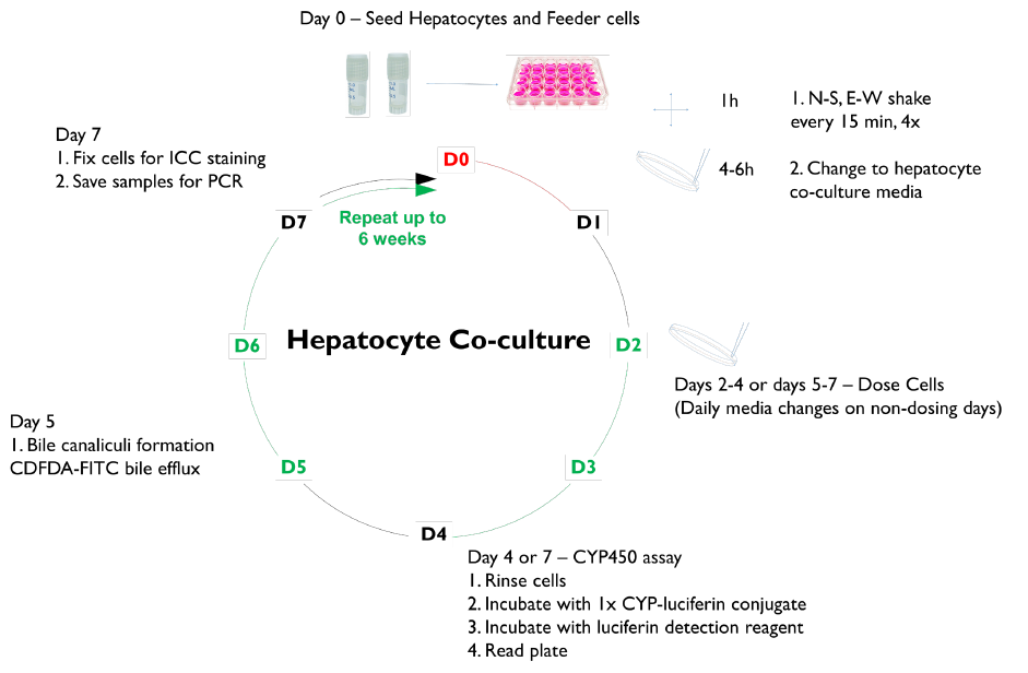 Treatments_and_assays.PNG
