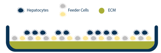 image_106.png