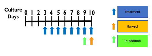 image_168.png