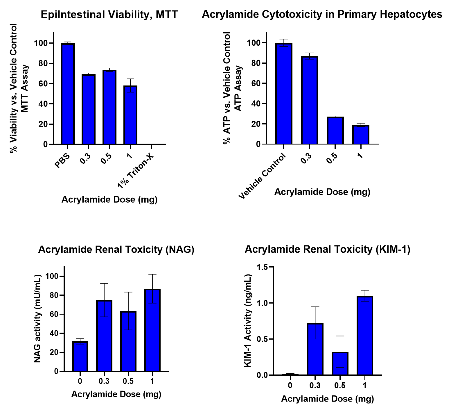 image_18.png