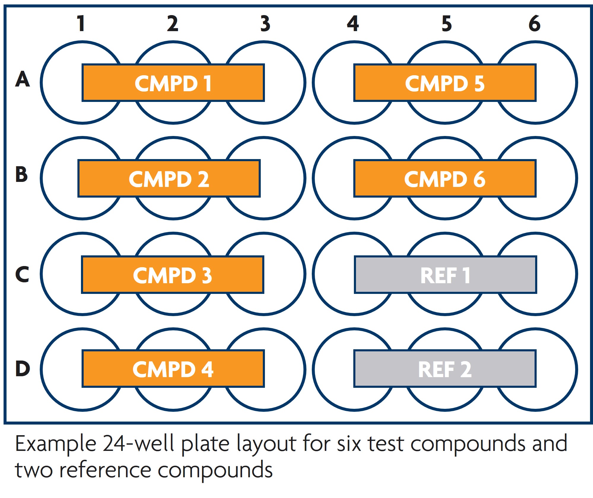 TruVivo intrinsic clearance study plate layout