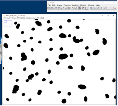 Pixelates Image