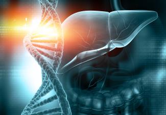 Genotyped human liver cells