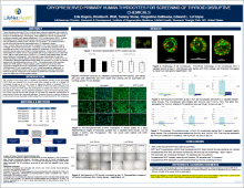 Thyroid_Poster.png